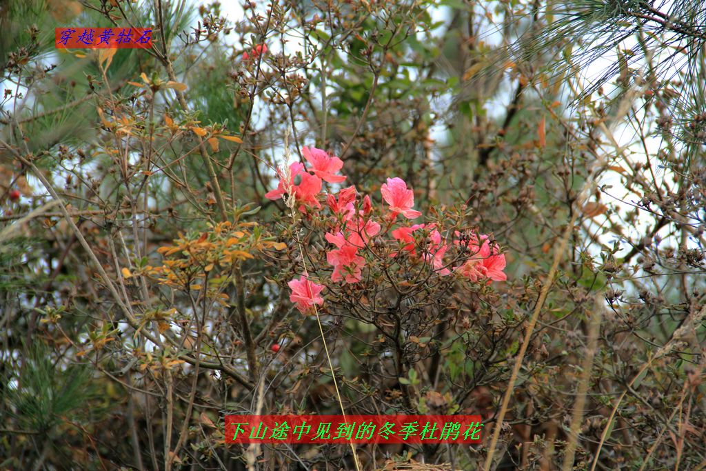 img_0095.jpg