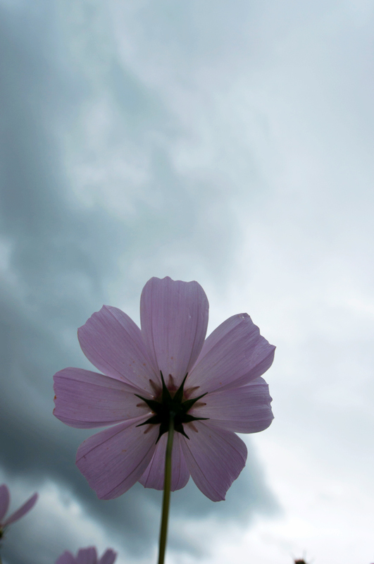 dsc_0178.jpg