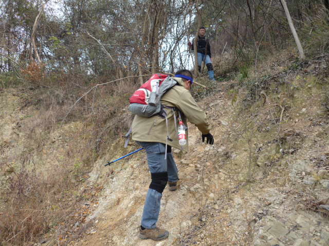 p1090591.jpg