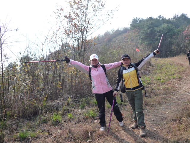 p1090603.jpg