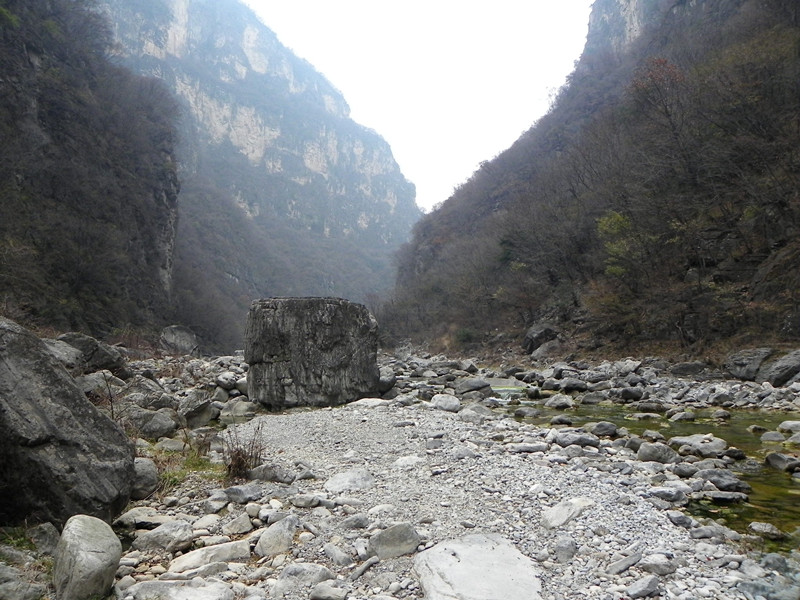 dscn2380_.jpg