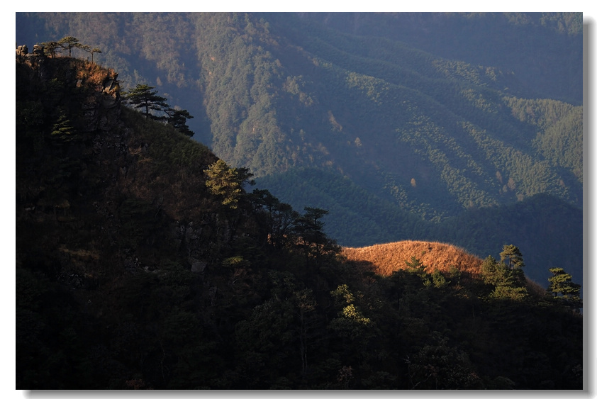 dsc_7065-1.jpg