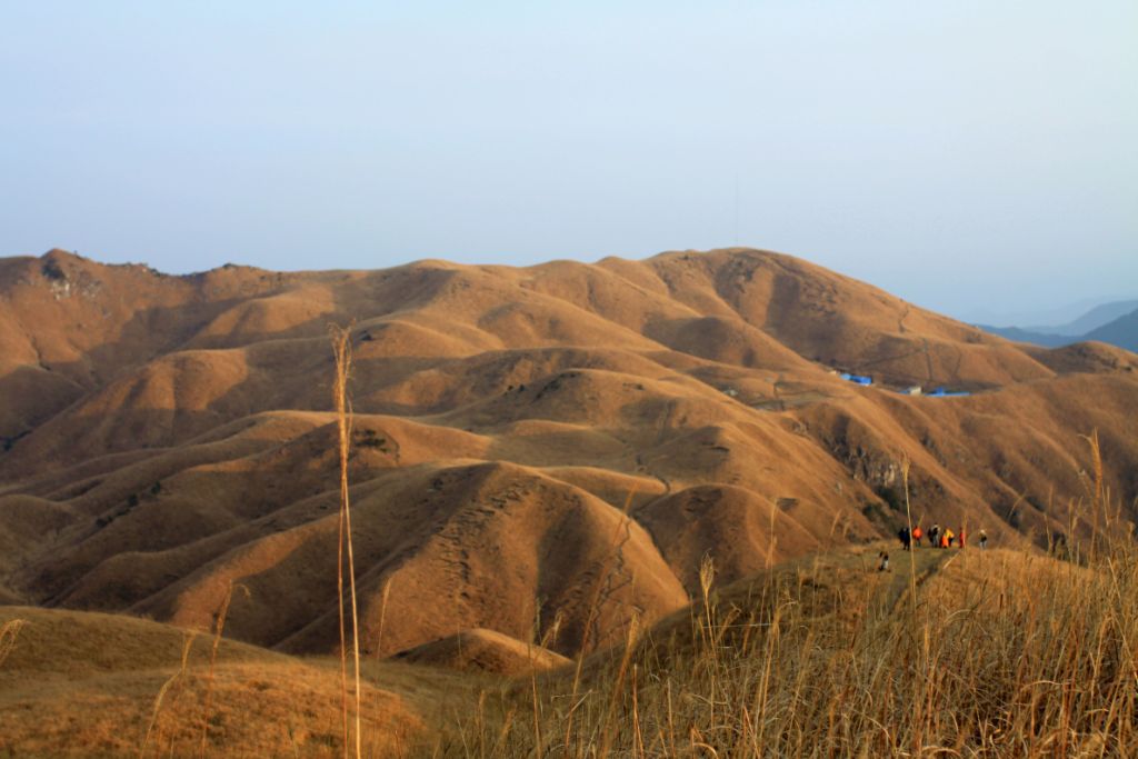 img_9931.jpg