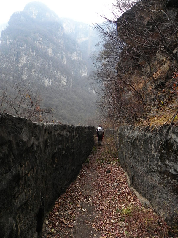 dscn2419_.jpg