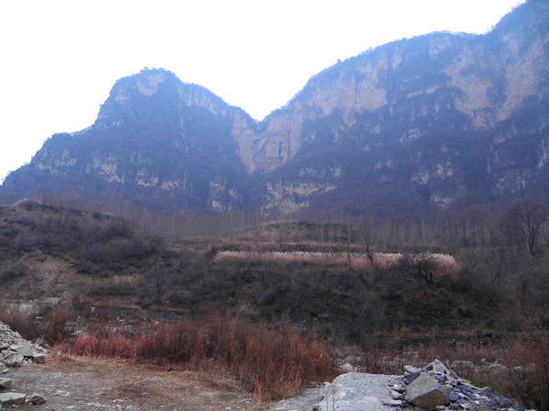 dscn2450_.jpg