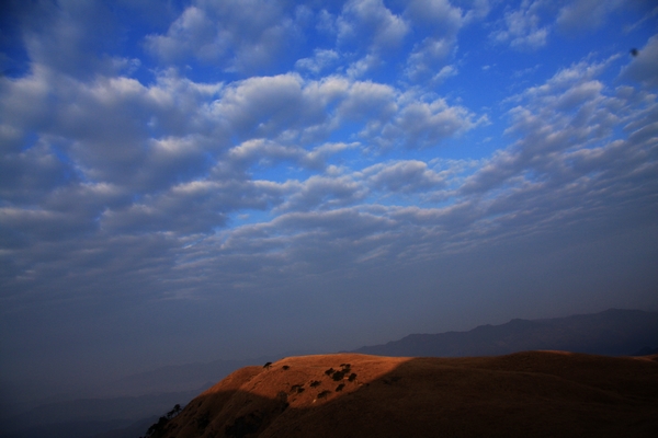 img_7913.jpg