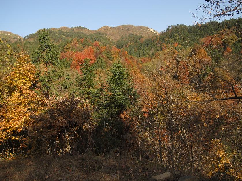 img_2641.jpg