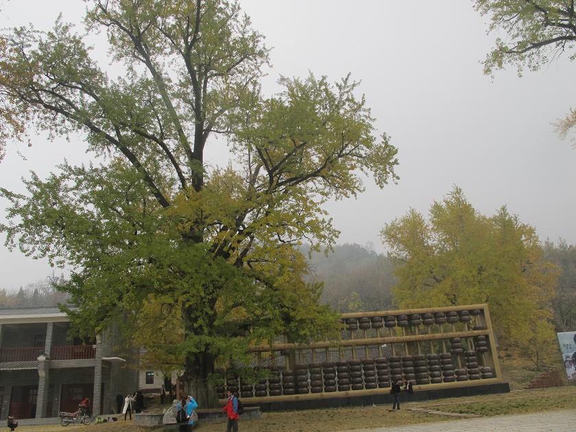 img_2228.jpg