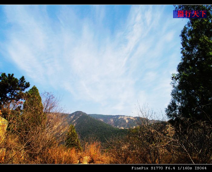dscf5113.jpg