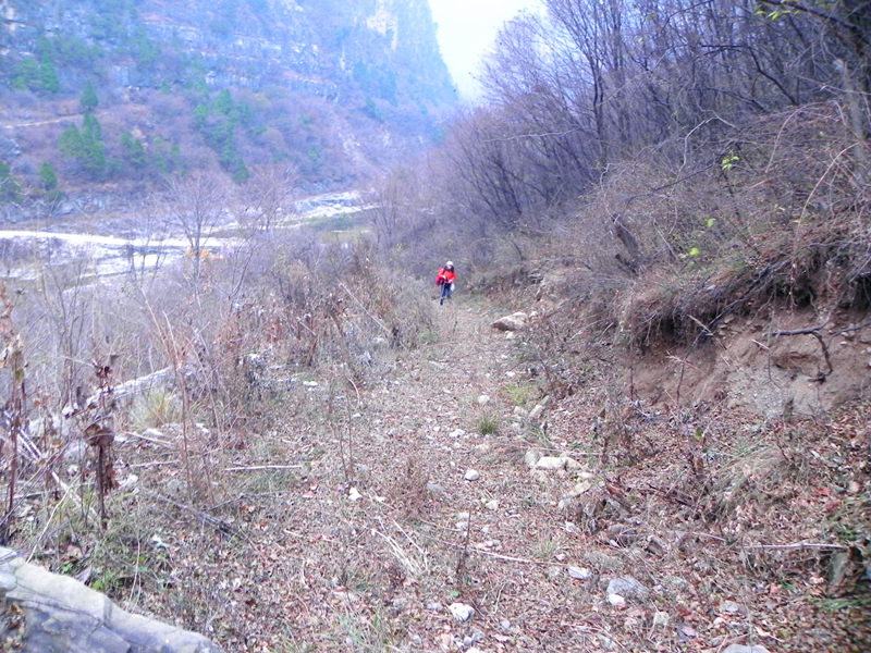 dscn2460_.jpg