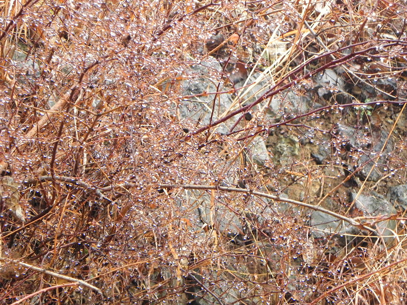 dscn2473_.jpg