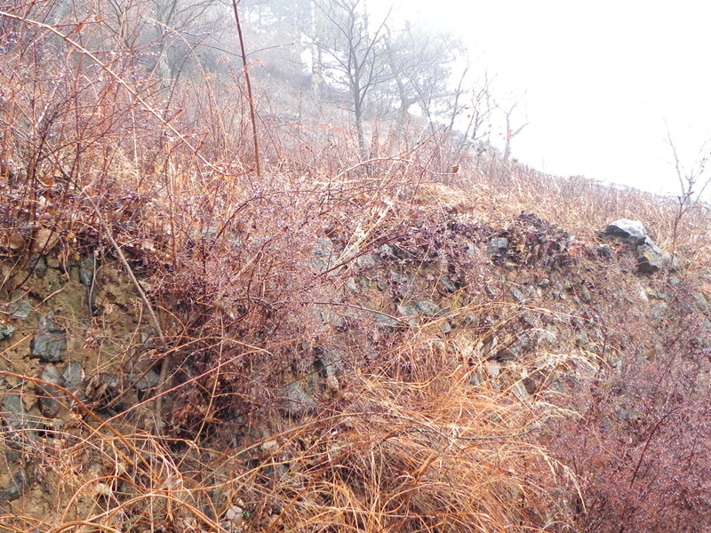 dscn2474_.jpg