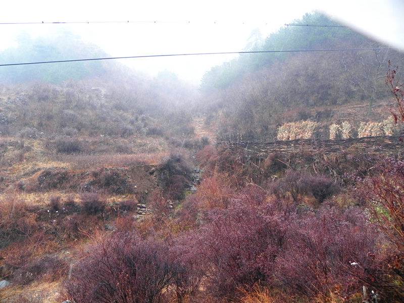 dscn2477_.jpg