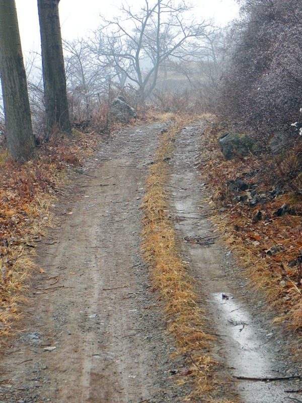 dscn2485_.jpg
