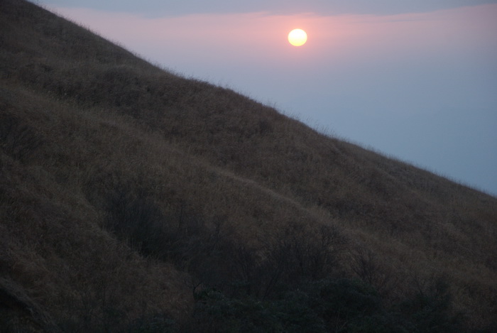 dsc_0252.jpg