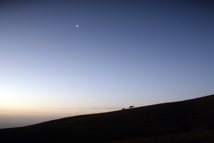 dsc_0275.jpg