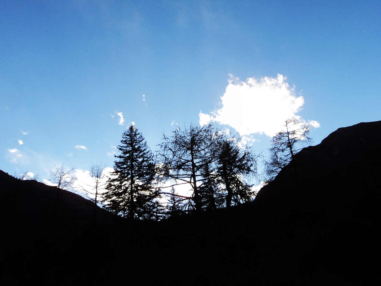 dsc07707.jpg