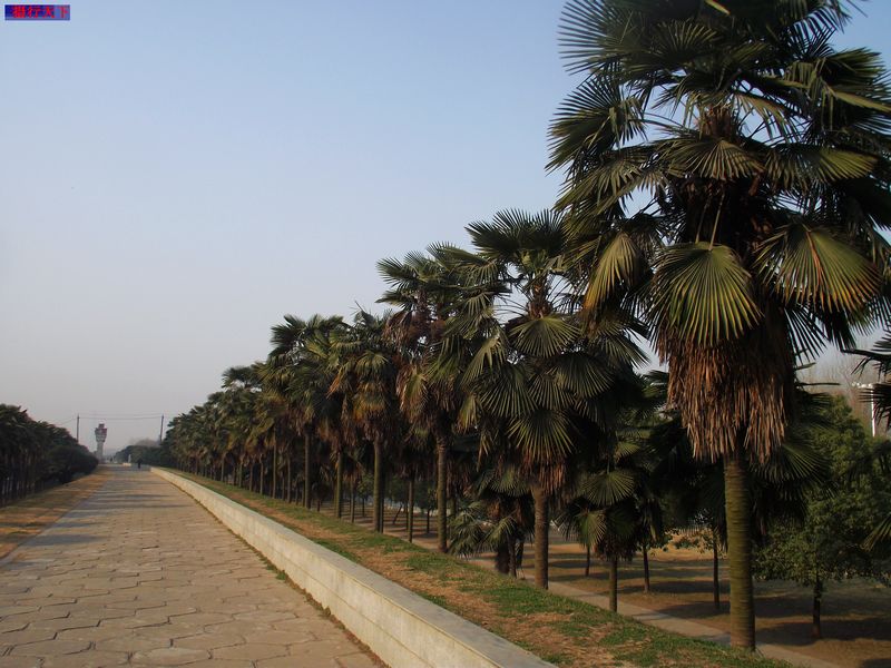 dscf1549.jpg