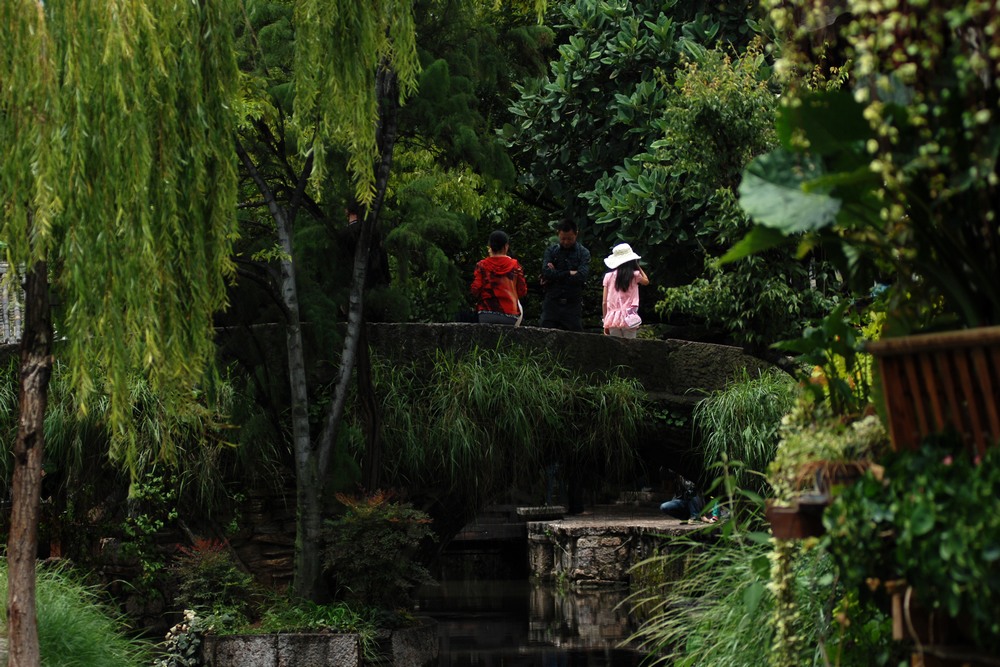 dsc_0711.jpg