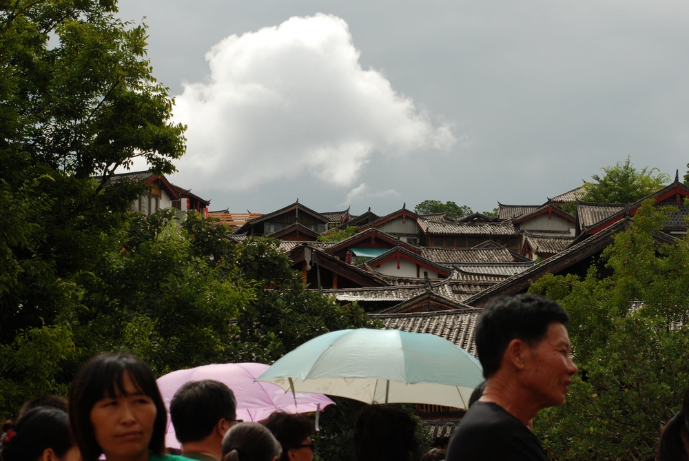 dsc_0862.jpg