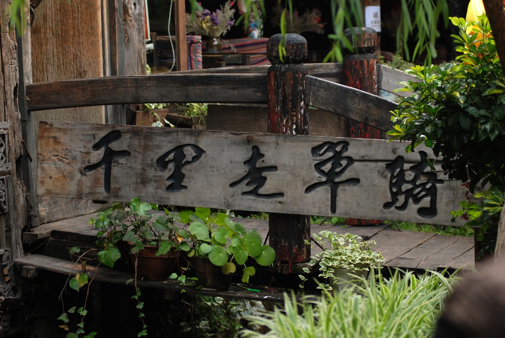 dsc_0924.jpg