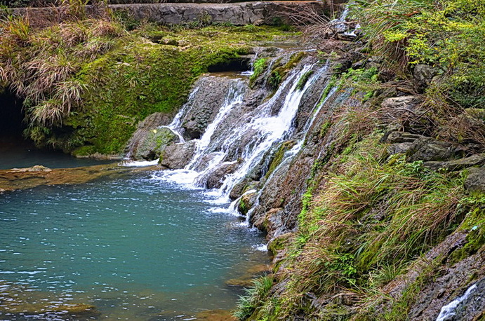 dsc_2466.jpg