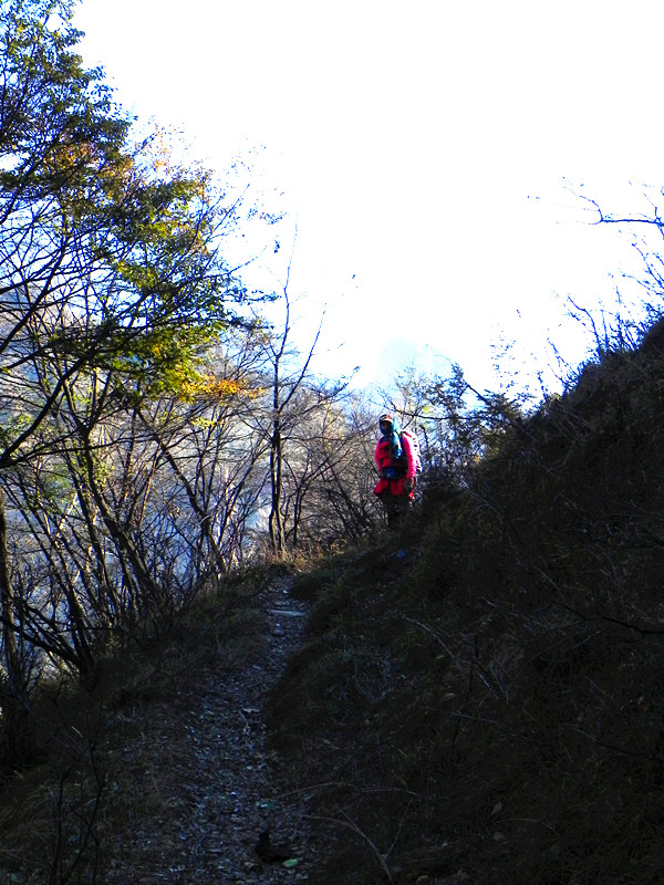 dscn2923_.jpg