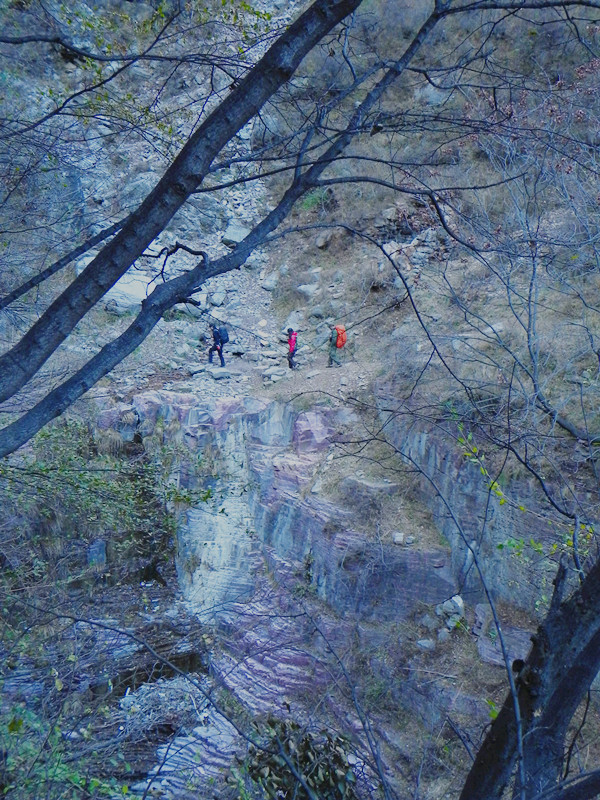 dscn2952_.jpg