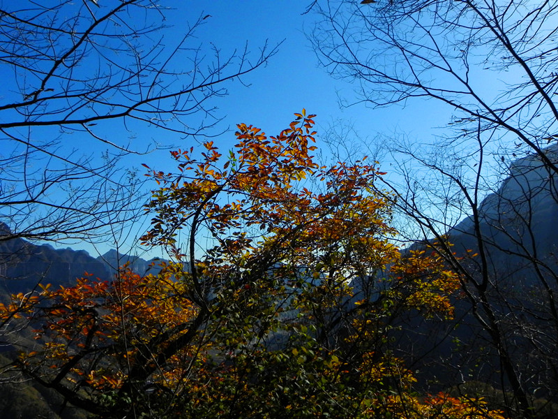 dscn2953_.jpg