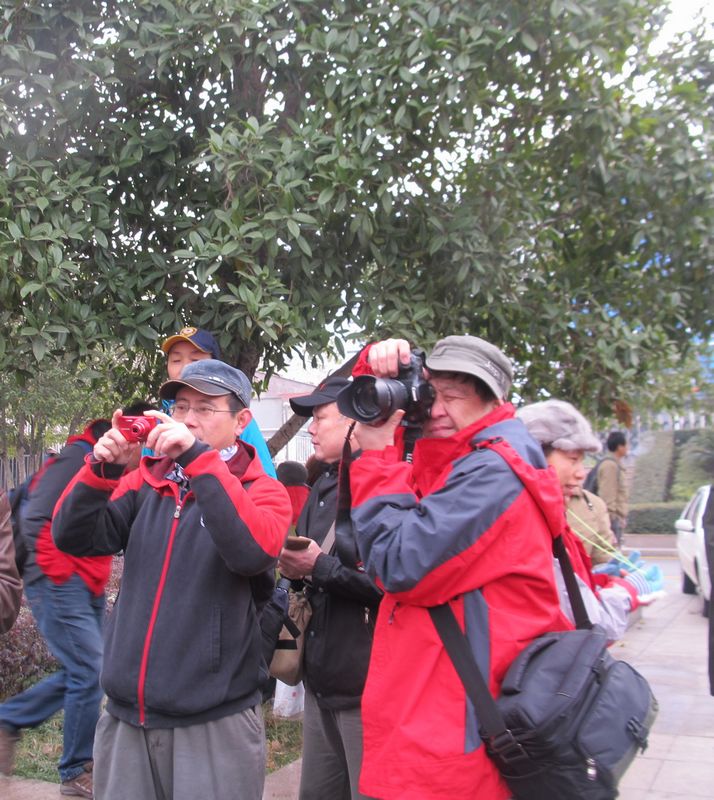 201212170282815941.jpg