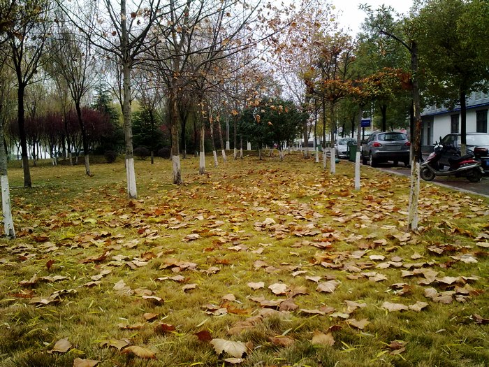 201212151729.jpg