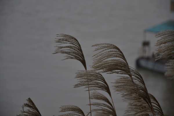 2012.12.15ͽ167.jpg