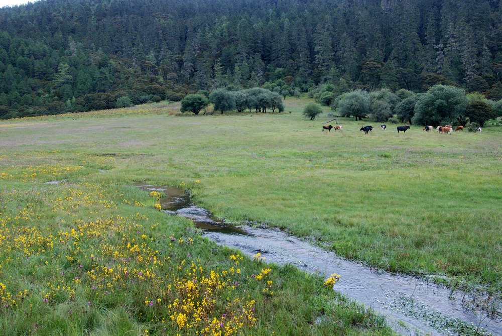 dsc_0344.jpg