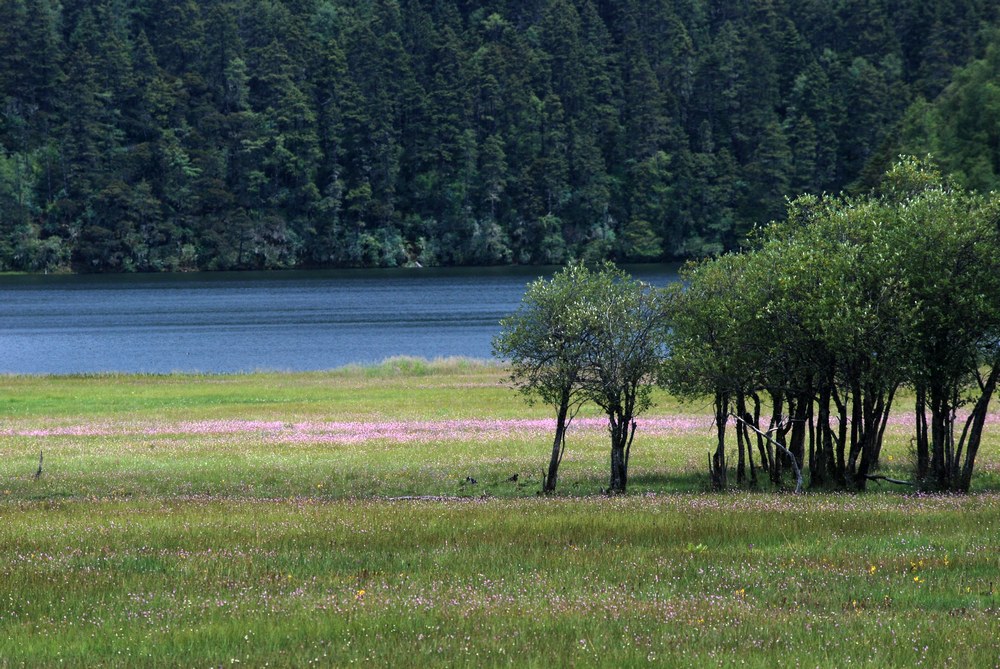 dsc_0379.jpg