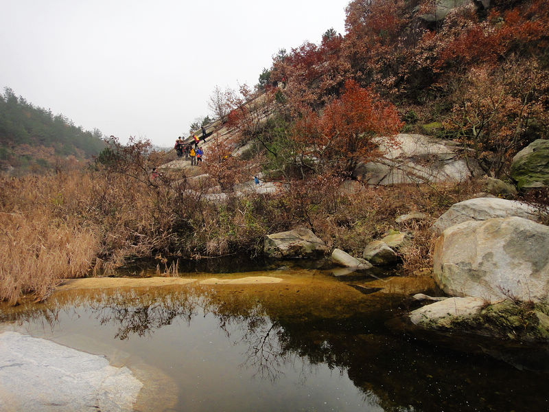 dsc08395.jpg