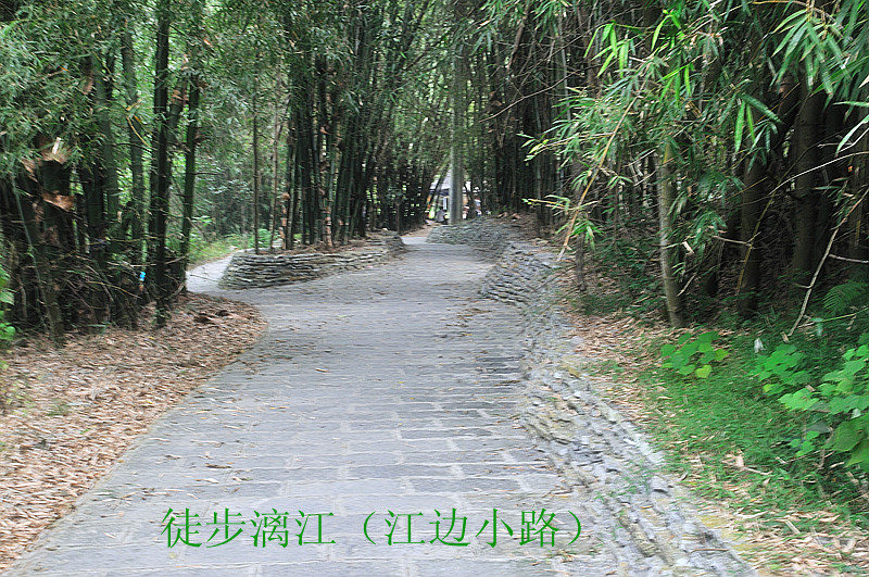 dsc_6841_副本.jpg