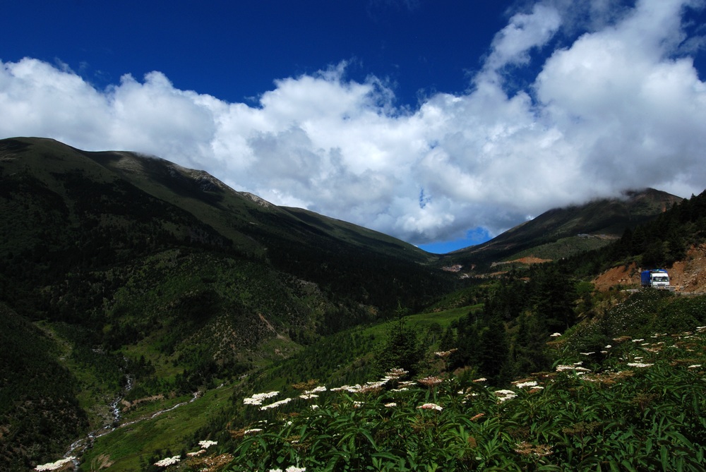 dsc_0523.jpg