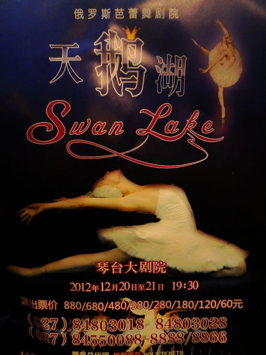 dsc06551.jpg