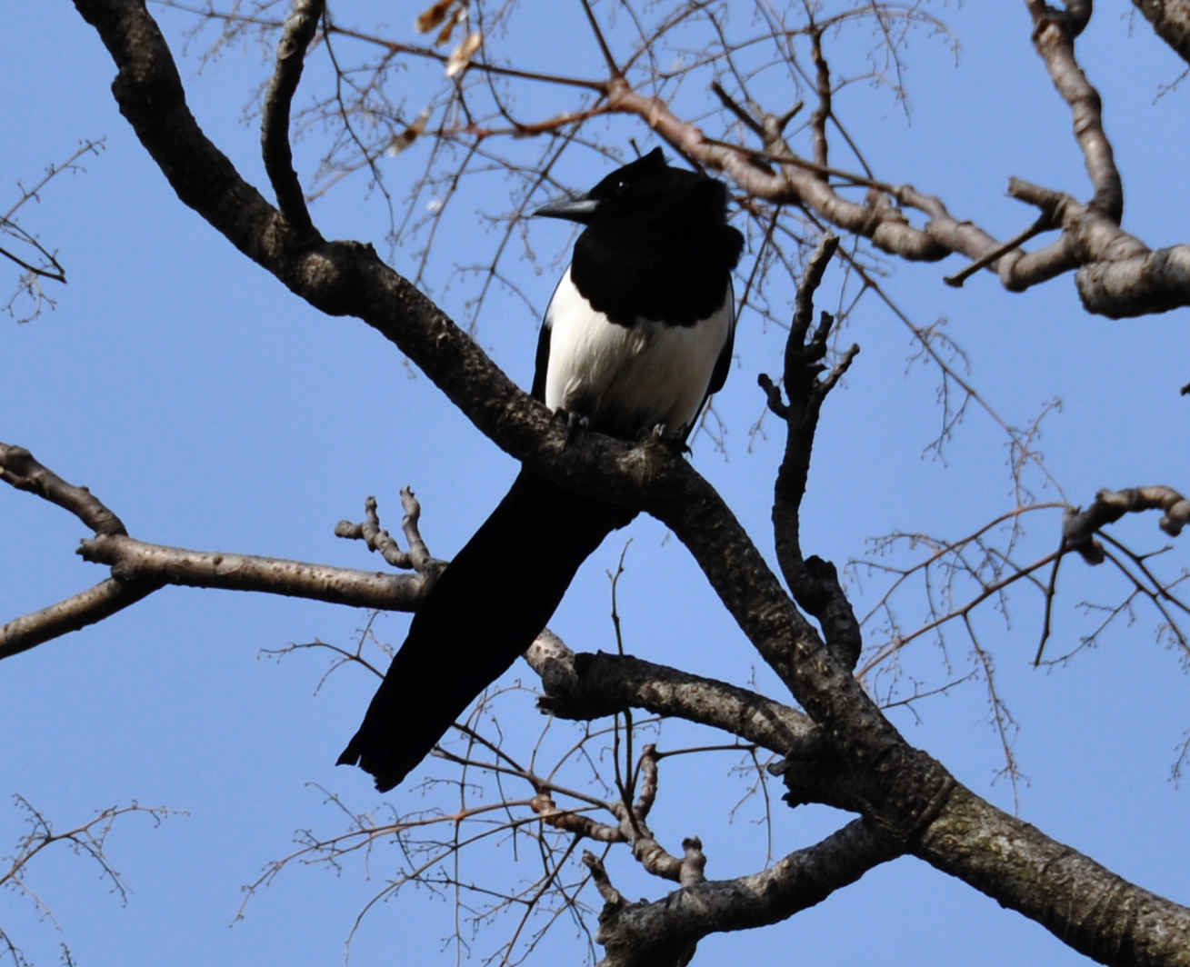 dsc_0034.jpg