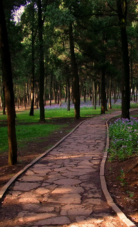 gx7.jpg