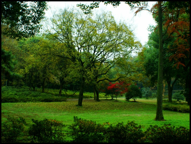 conew_dsc06679_conew1.jpg