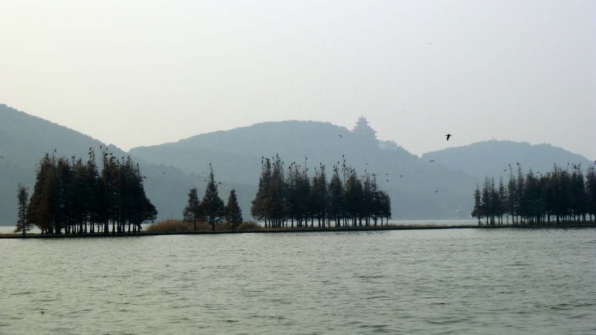 p1040921a.jpg
