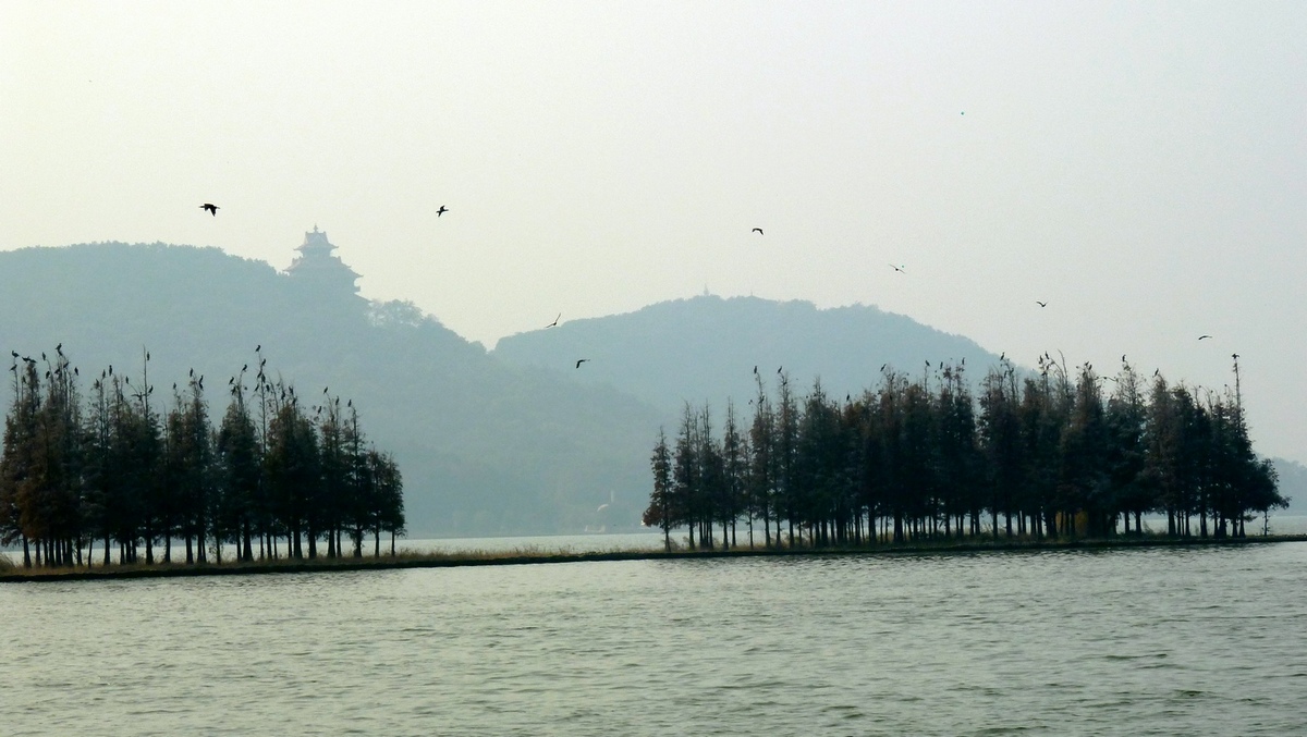 p1040922a.jpg