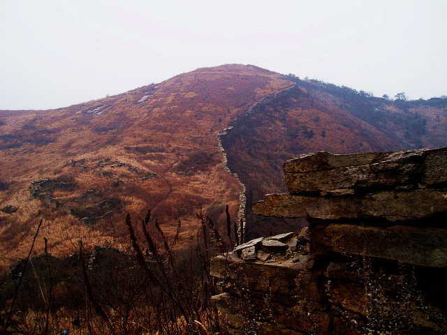 p1012408.jpg