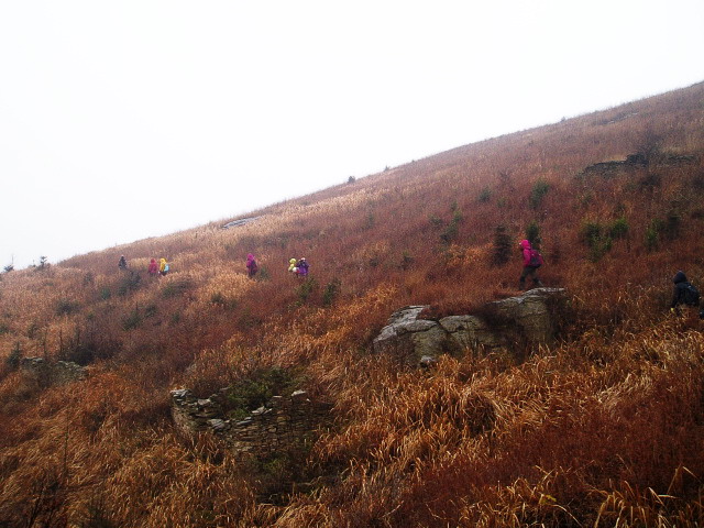 p1012419.jpg