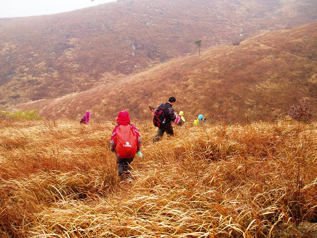p1012422.jpg