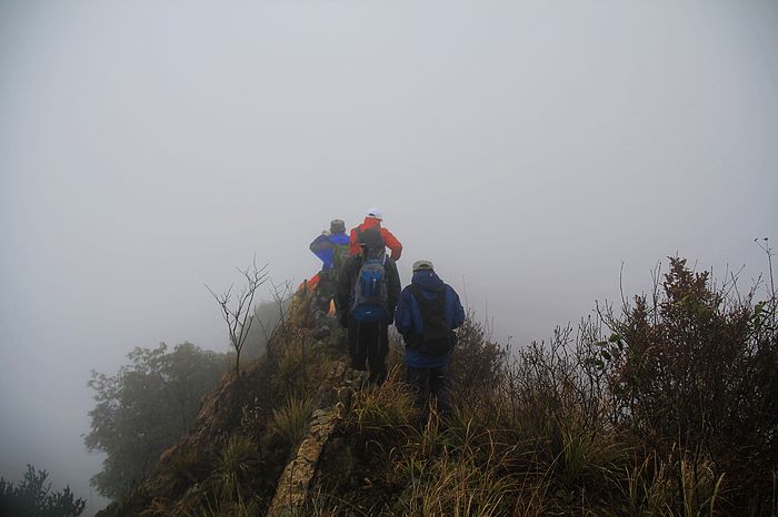_mg_9937.jpg
