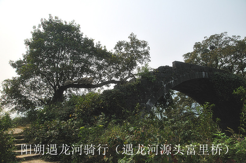 dsc_6929_副本.jpg