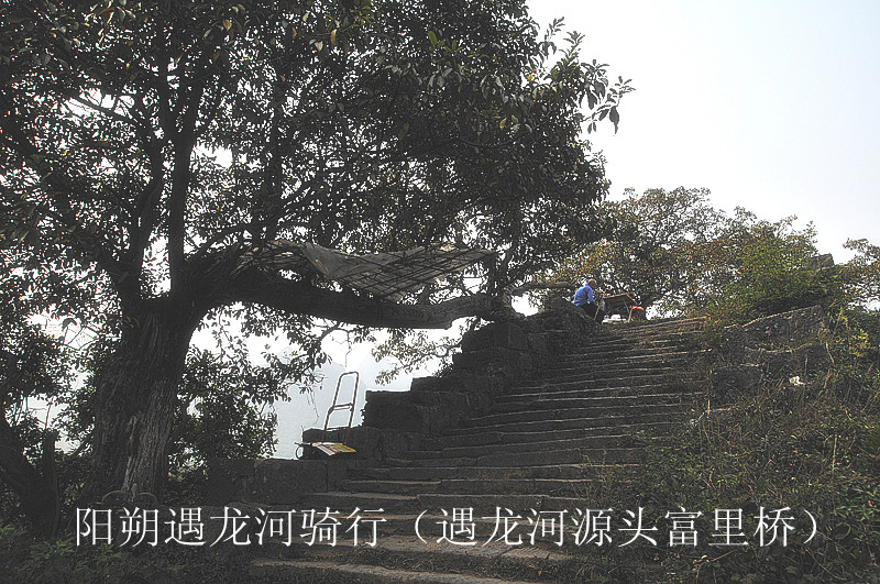 dsc_6930_副本.jpg