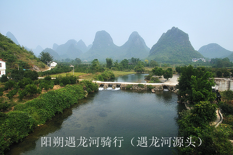dsc_6931_副本.jpg